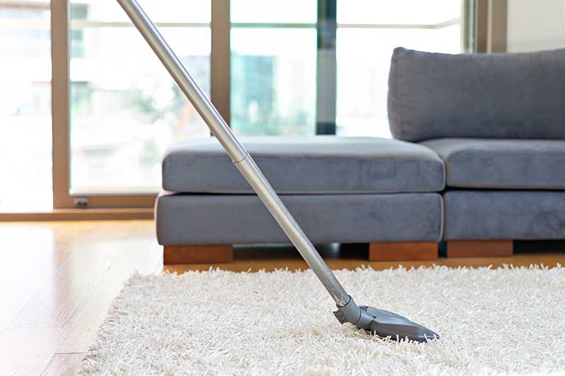 carpet cleaning services