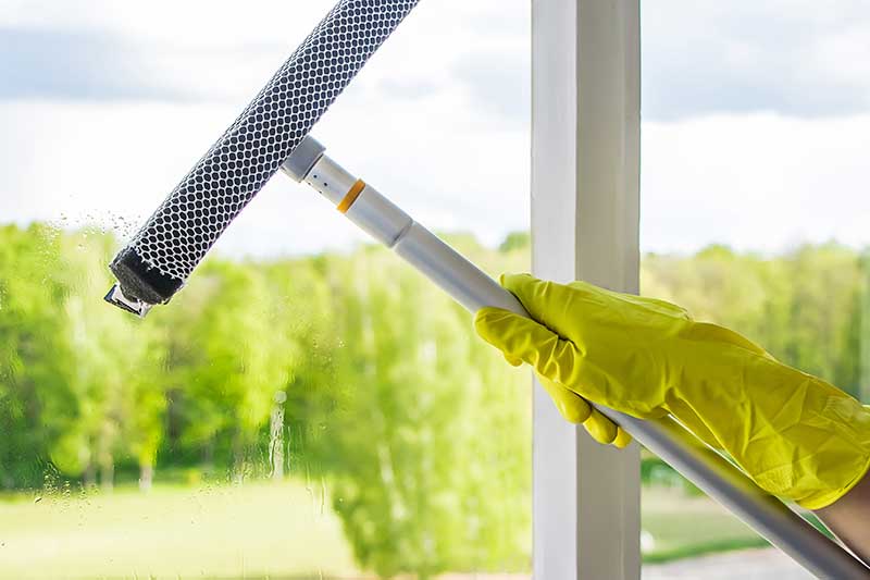 Window Cleaning Services